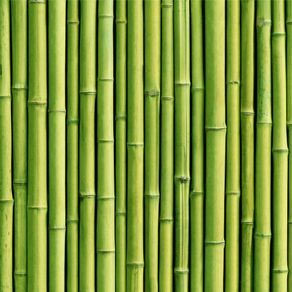 BB19019-ApliqueFacil BB19019-ApliqueFacil