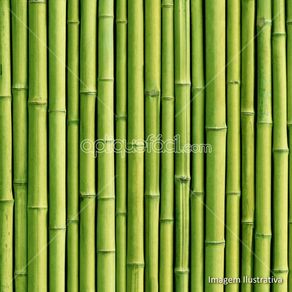 bb19019_800x800_estampa bb19019_800x800_estampa