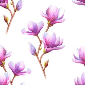 rm25005_apliquefacil rm25005_apliquefacil