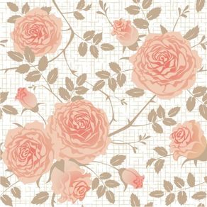 rm25006_apliquefacil rm25006_apliquefacil