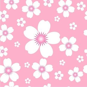 rm25013_apliquefacil rm25013_apliquefacil