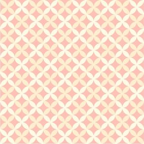 vt11044-apliquef_cil vt11044-apliquef_cil