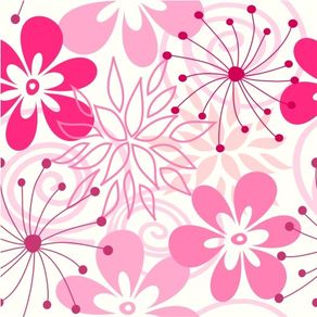 fl13056-apliquef_cil