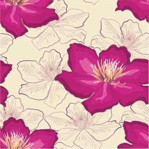 fl13065-apliquef_cil