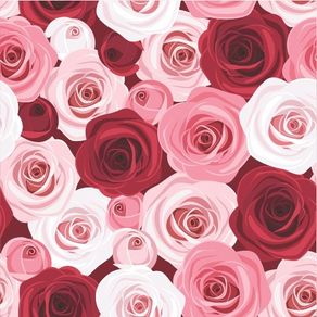 fl13066-apliquef_cil fl13066-apliquef_cil