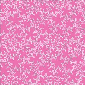 fl13067-apliquef_cil fl13067-apliquef_cil