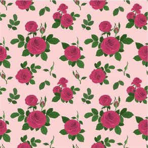 fl13103-apliquef_cil fl13103-apliquef_cil