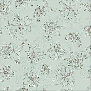 fl13117-apliquef_cil fl13117-apliquef_cil