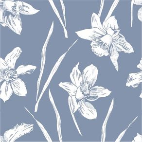 fl13131-apliquef_cil fl13131-apliquef_cil