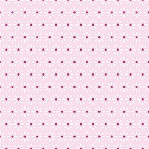 qt19012-apliquef_cil qt19012-apliquef_cil