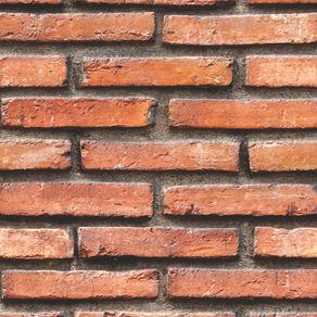 TJ14009-Estampa TJ14009-Estampa