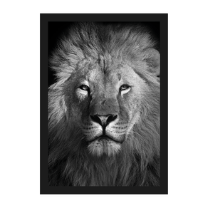 QD11522-quadro-decorativo-leao-lion-safari-religiosobasic-preto QD11522-quadro-decorativo-leao-lion-safari-religiosobasic-preto