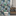 Papel-de-parede-cactus-juliete-cactos-juliete-papel-de-parede-juliete-papel-parede-juliete-papel-parede-cactos-