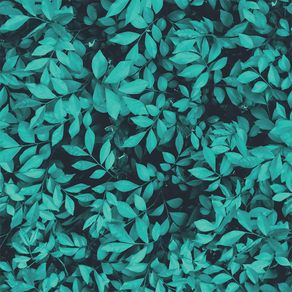 FG010Estampa FG010Estampa