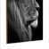 Quadro-Decorativo-Lion-leao-lion-animais-savana-QD12279-Placa-Decorativa-detalhe-1000x1000