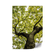 Quadro-Decorativo-Natureza-Botanica-natureza-natureza-botanica-botanica-QD12261-Adesivo-1000x1000