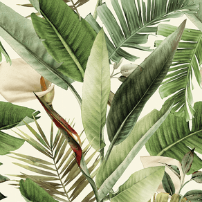 FG005-50---Estampa---1000x1000 FG005-50---Estampa---1000x1000