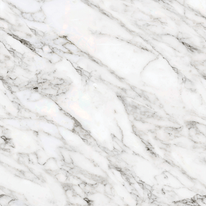 PD15063-50---Estampa PD15063-50---Estampa