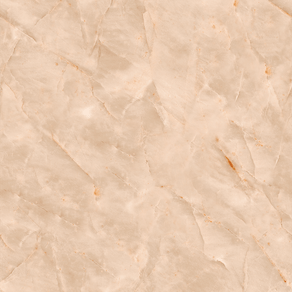 PD15068-50---Estampa PD15068-50---Estampa