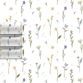 Vitrine-Outlet Vitrine-Outlet