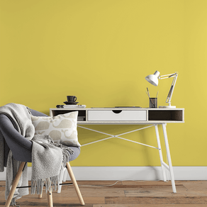 LI19165-1Vitrine LI19165-1Vitrine